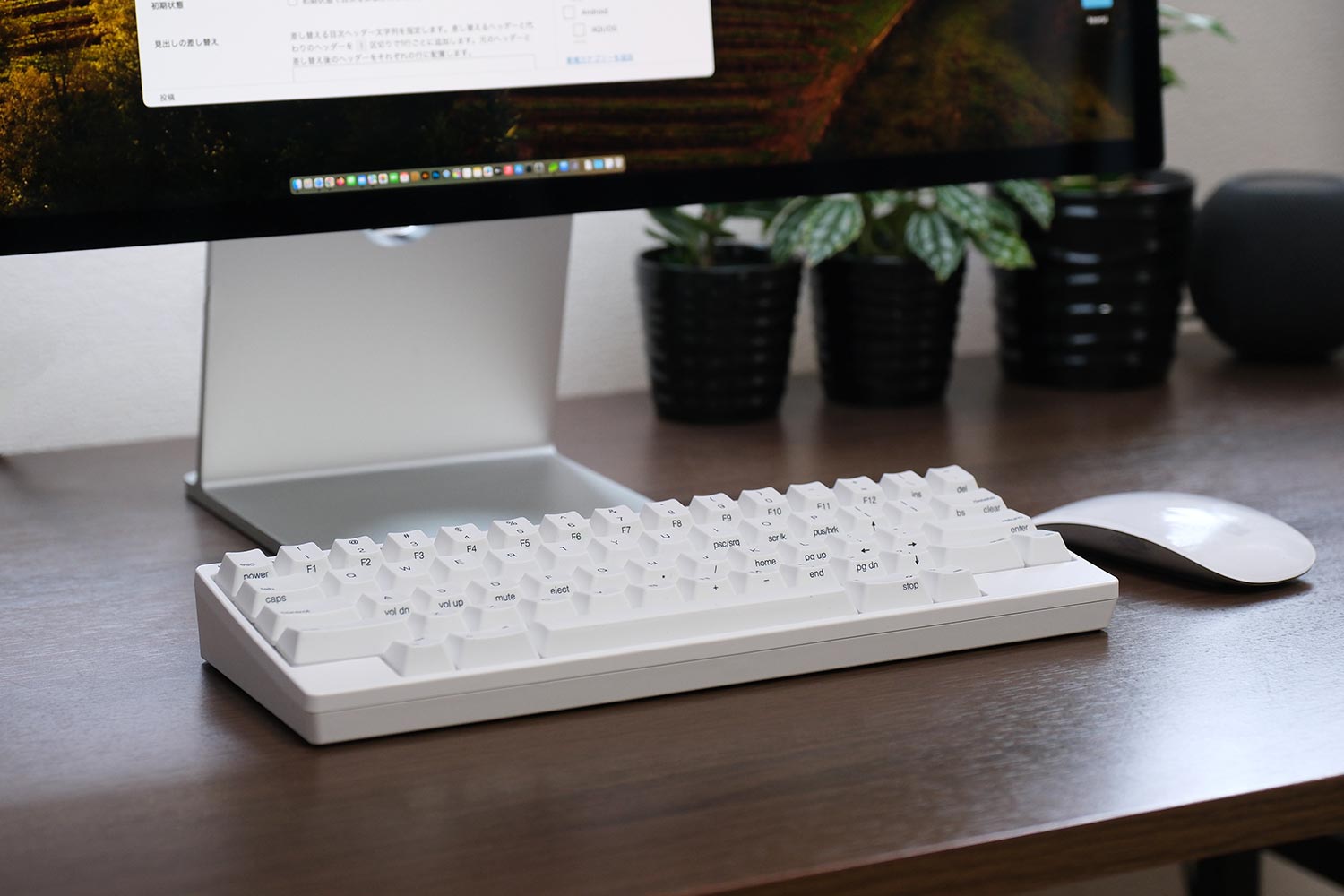 HHKB Professional HYBRID Type-S 雪