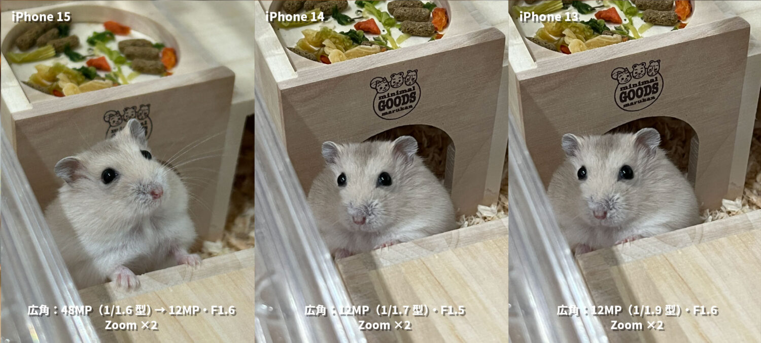 iPhone 15 / 14 / 13 広角カメラ ハムさんを比較
