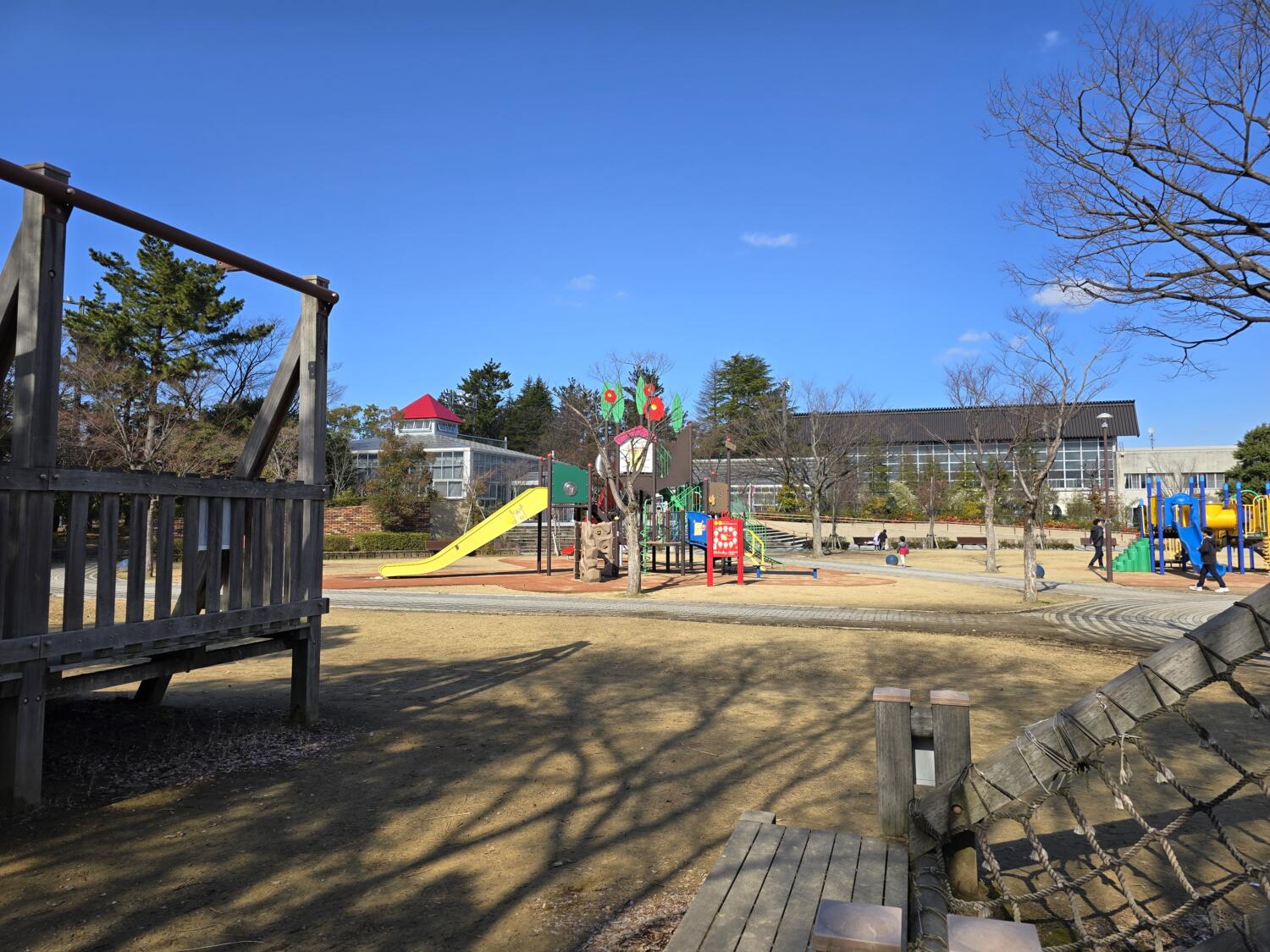 Galaxy S24 Ultra 広角カメラ 公園を撮影