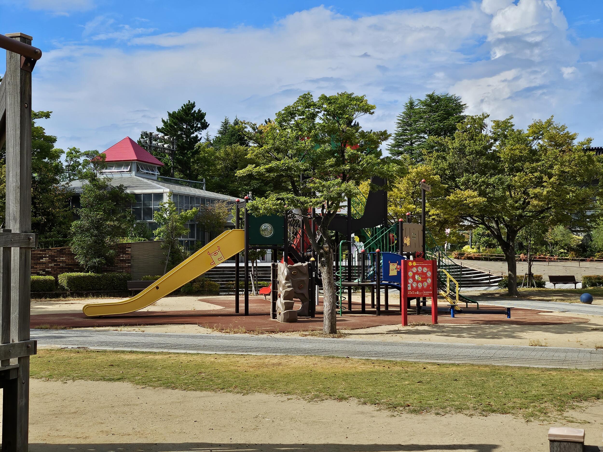 Galaxy Z Flip5 広角カメラ2倍で公園を撮影