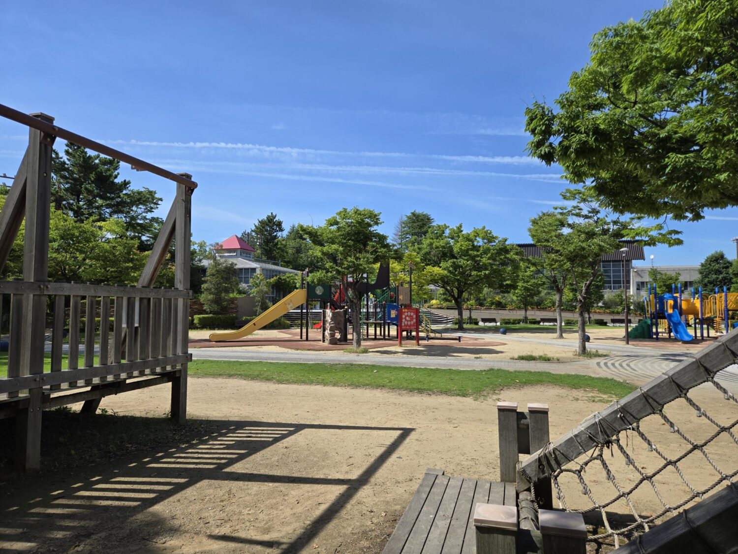 Galaxy Z Fold6(広角×1)公園