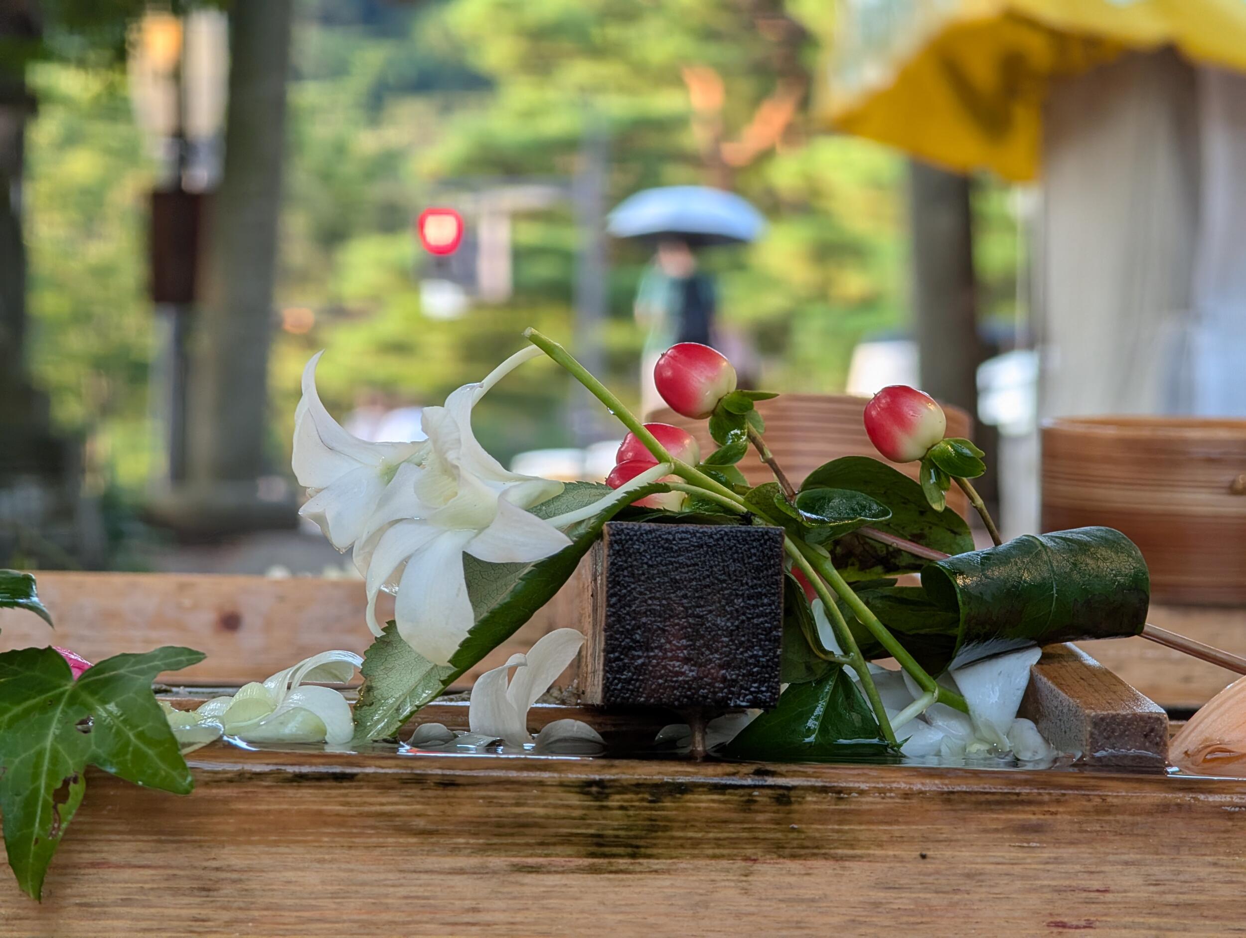 Pixel 9 Pro XL(望遠5倍):花と背景のボケ
