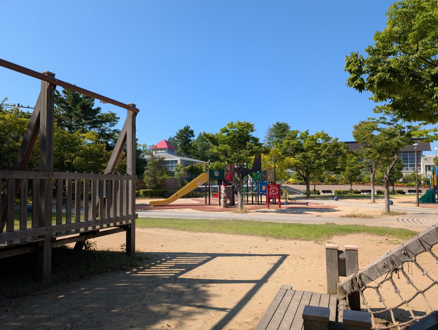 Pixel 9 Pro XL(広角×1)公園