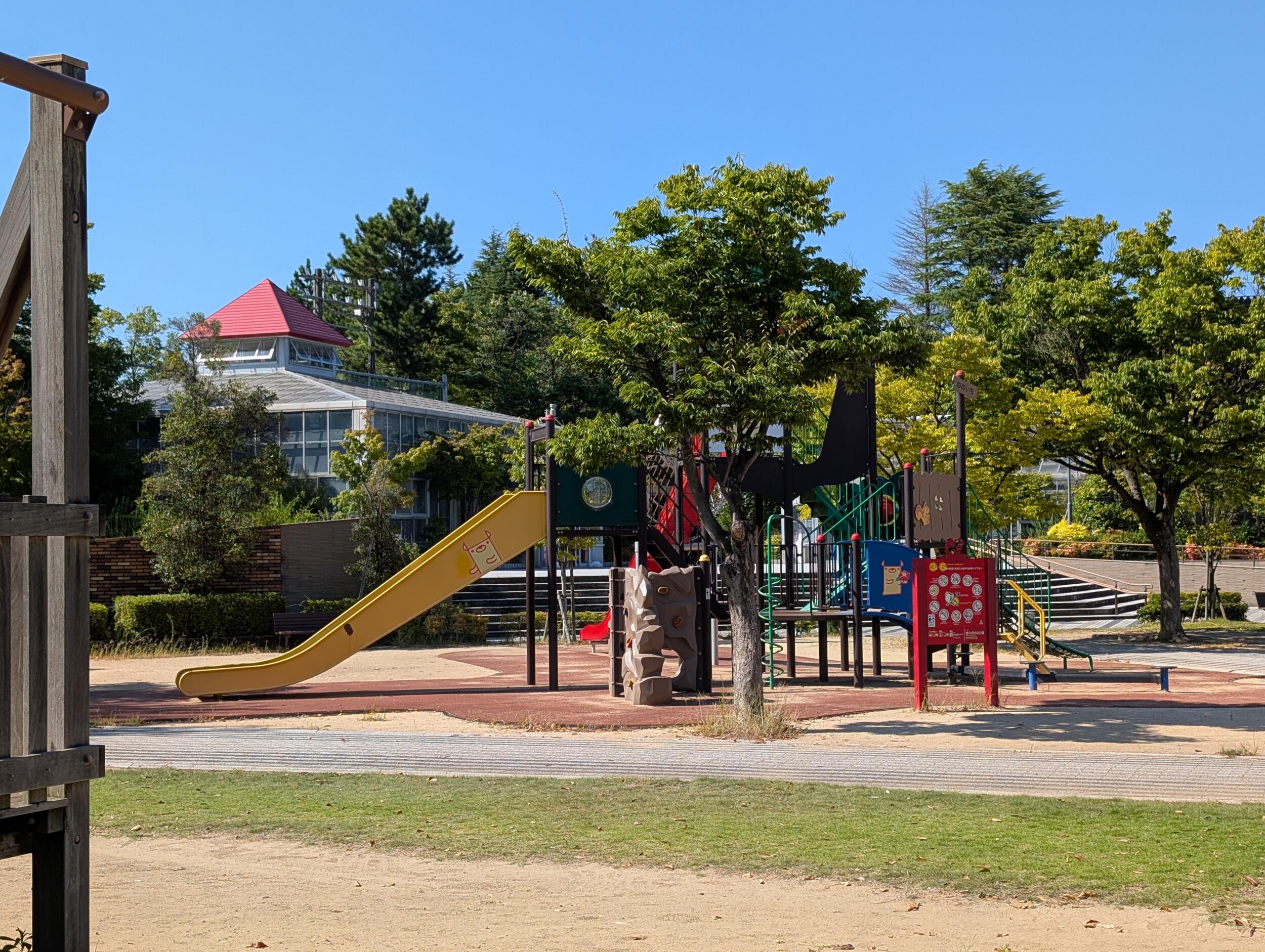 Pixel 9 Pro XL(広角1倍):公園