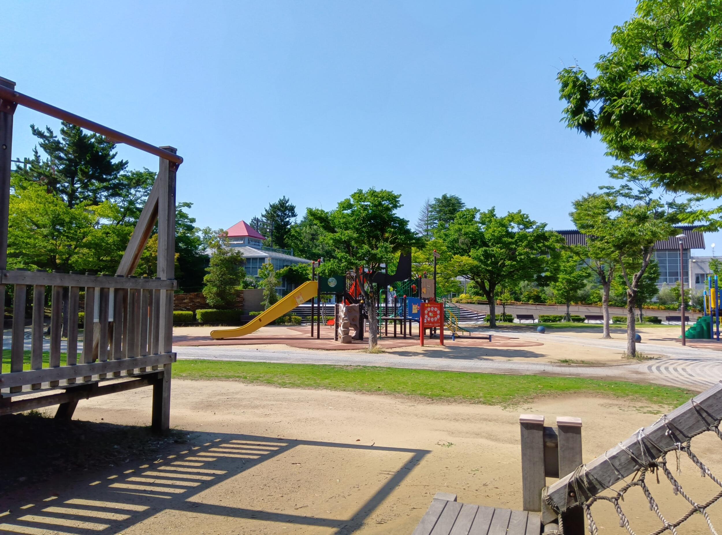 AQUOS wish3（広角×1）：公園