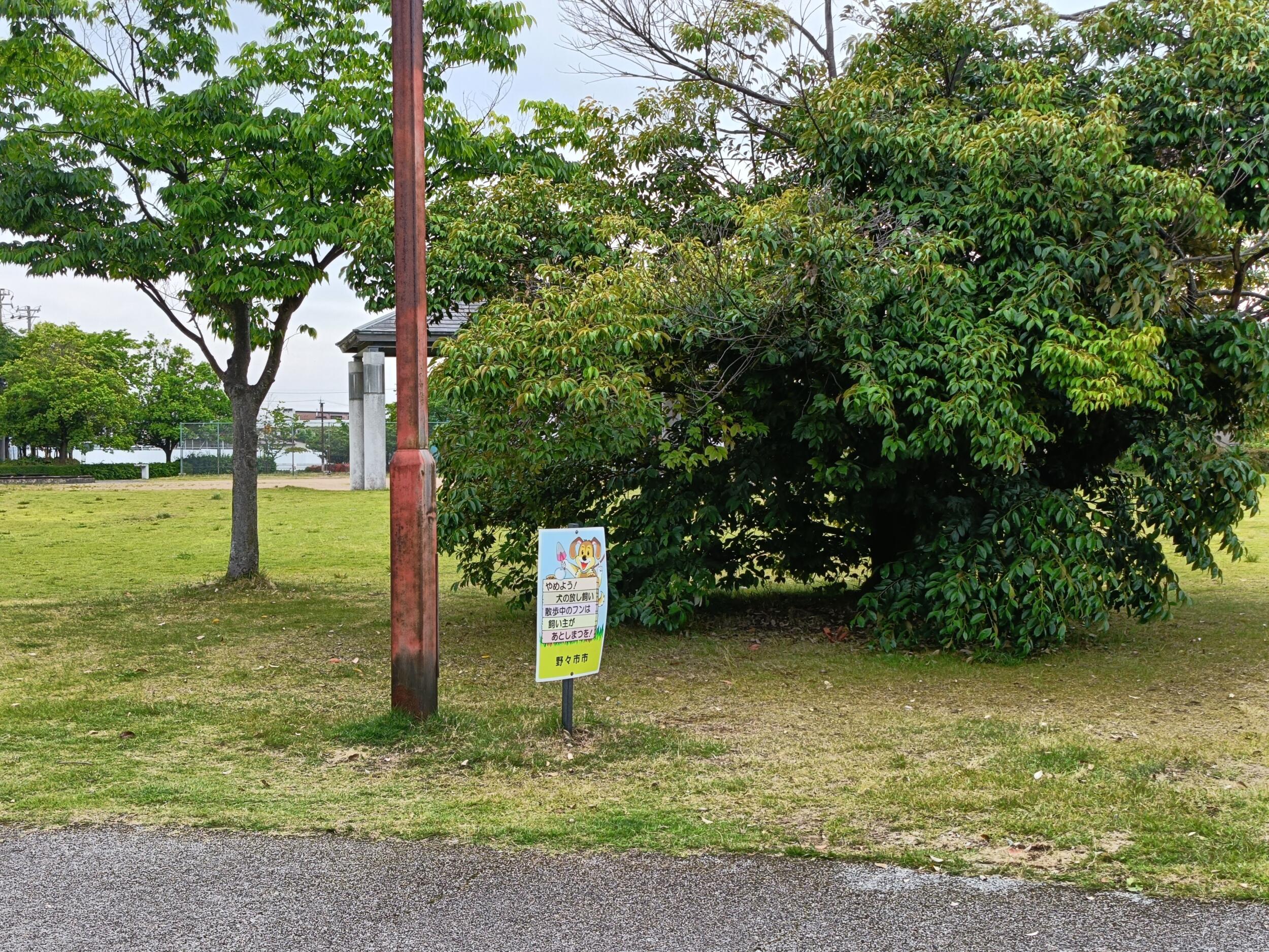 元写真