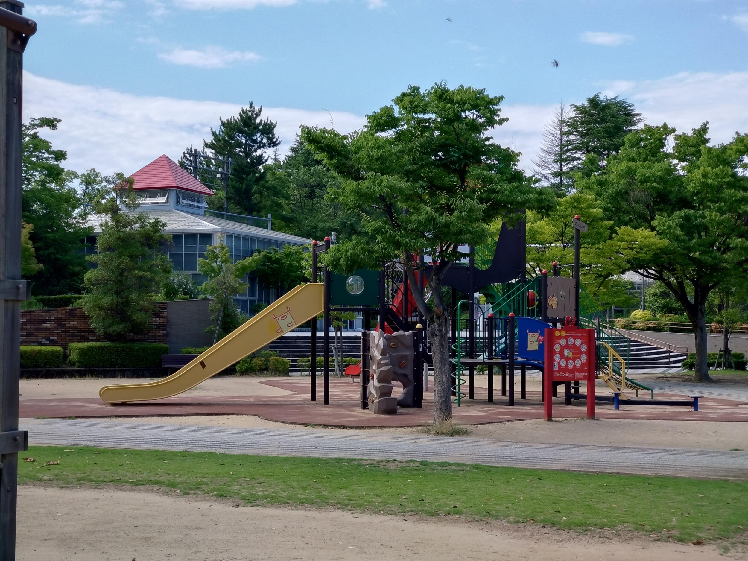 Xperia 10 V  広角2倍ズーム 公園