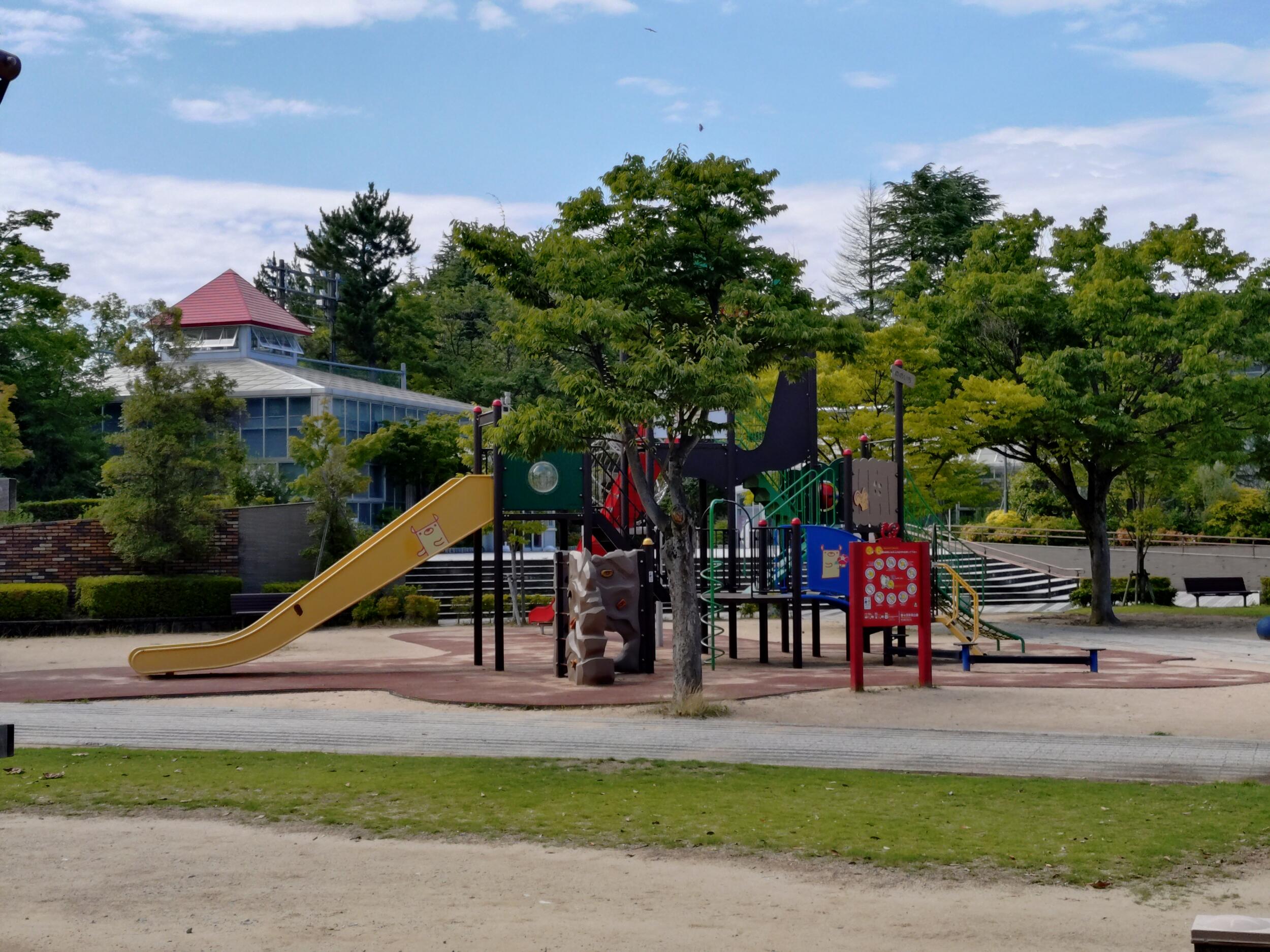 Xperia 10 VI 広角2倍ズーム 公園