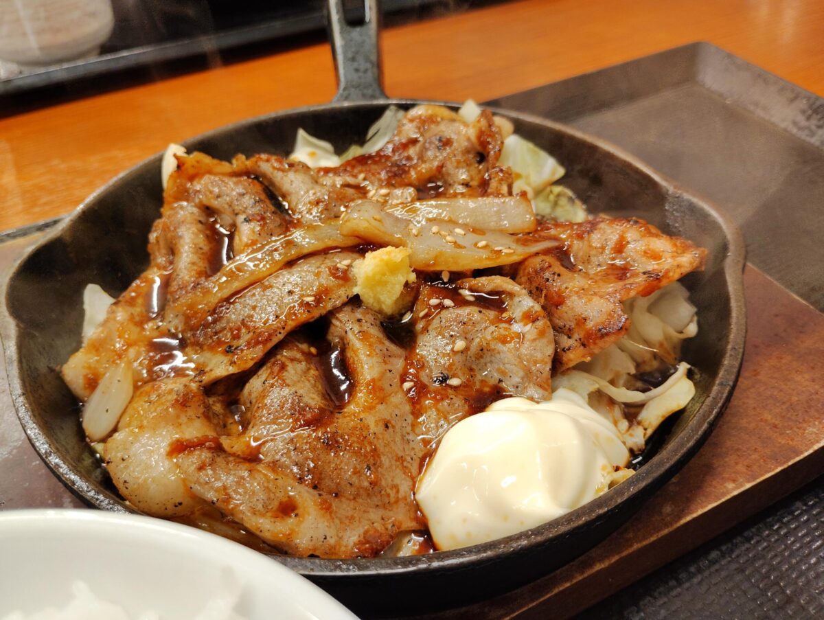 arrows We2 Plus(広角×1)生姜焼き