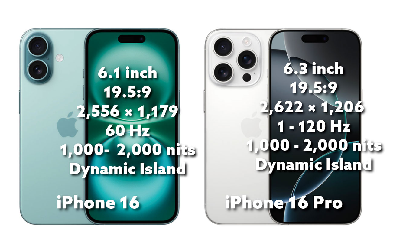 iPhone 16 vs 16 Pro ディスプレイ比較