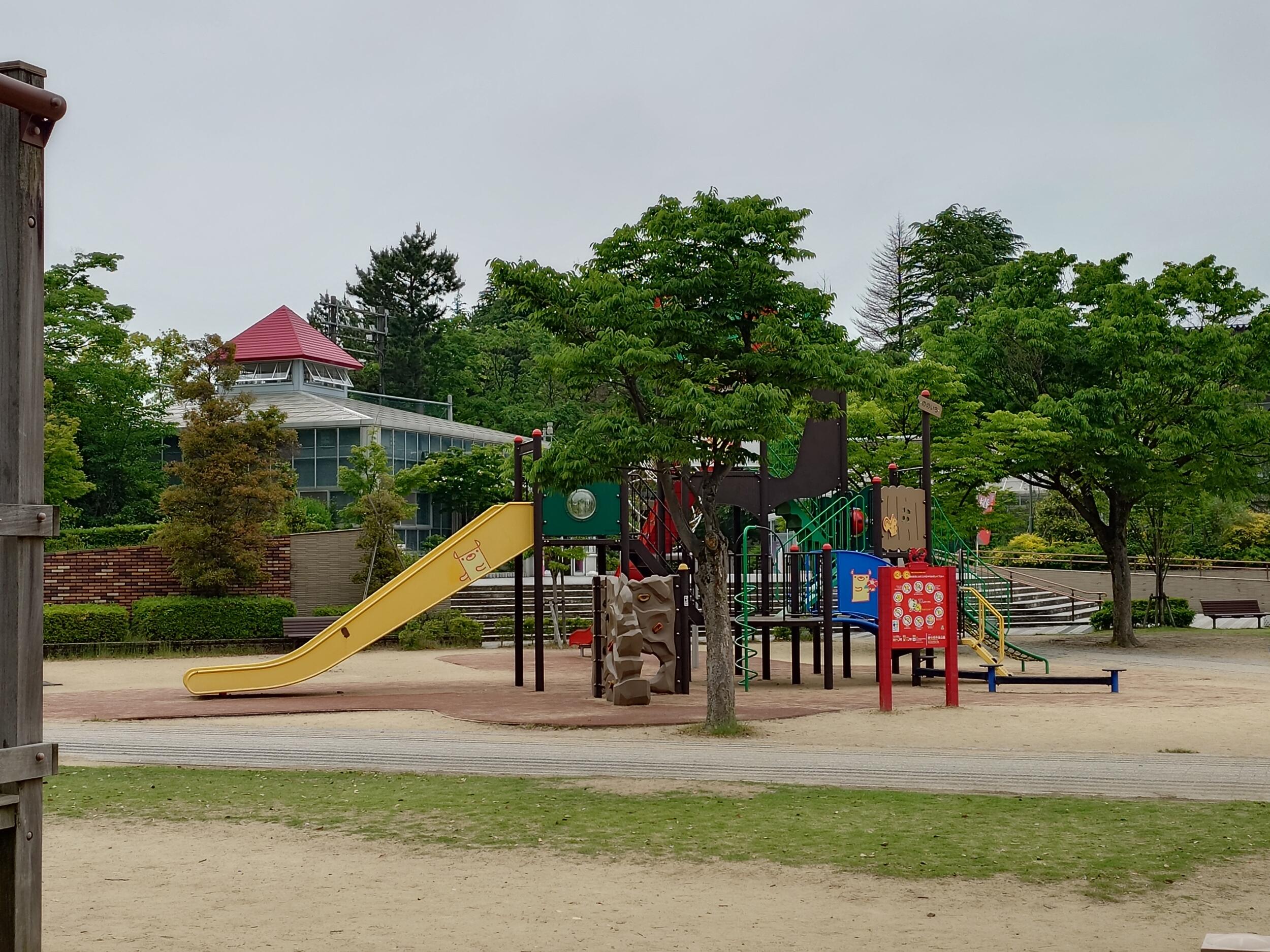 Xperia 1 V 広角2倍 公園