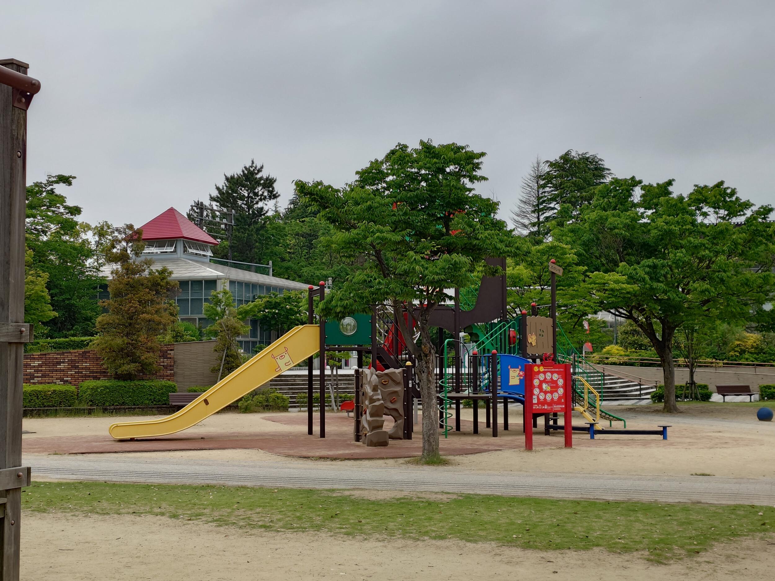 Xperia 1 VI 広角2倍 公園