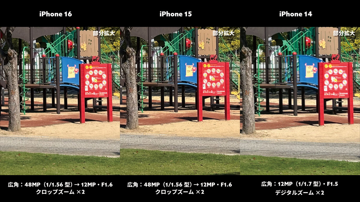 iPhone 16 / 15 / 14 広角×2(公園)部分拡大