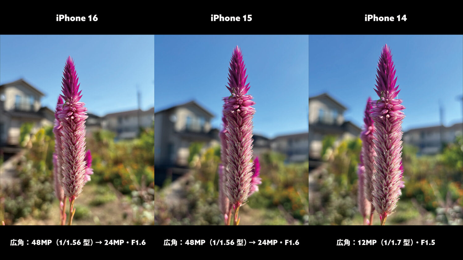 iPhone 16 / 15 / 14 広角×1(花)