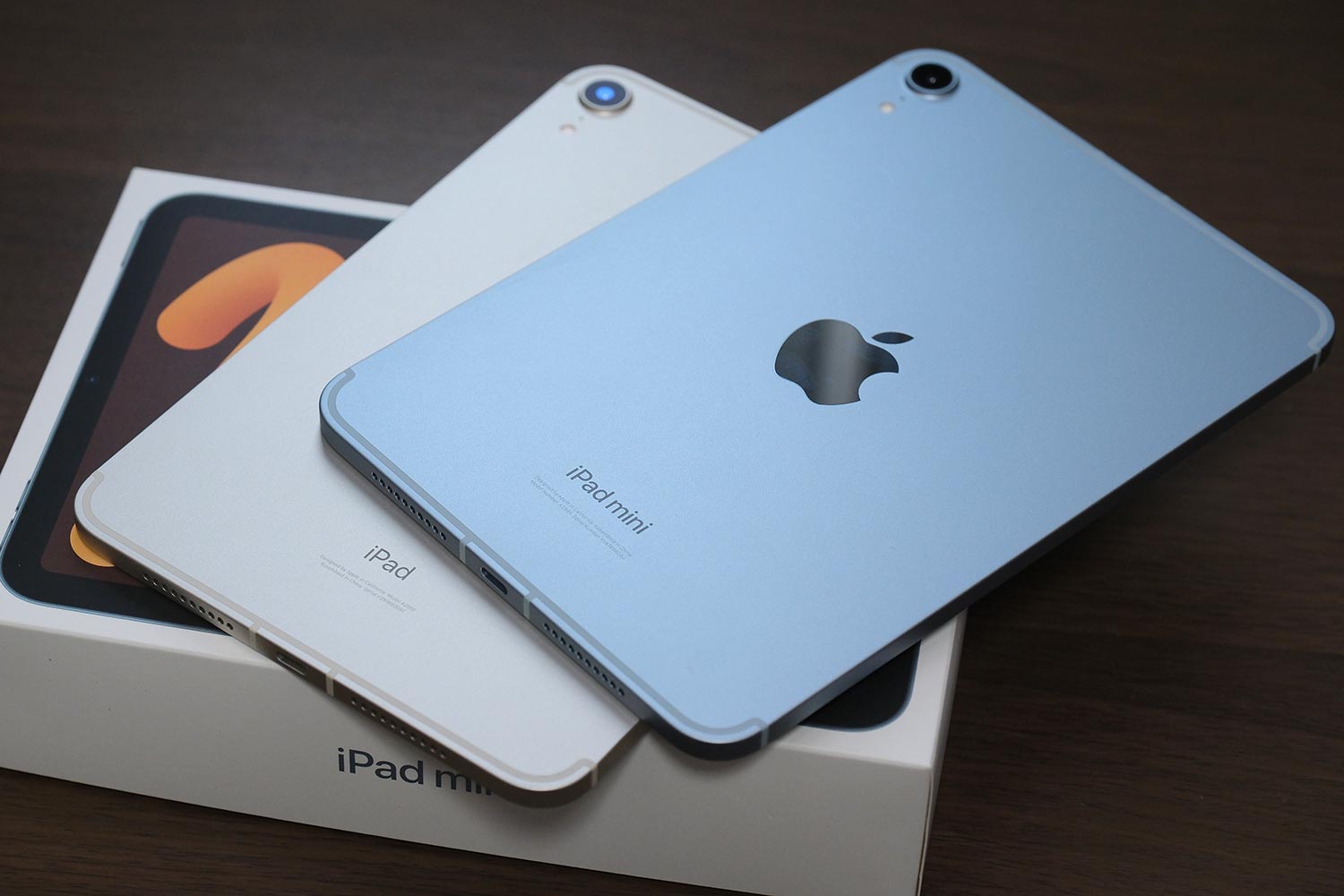 iPad mini(A17 Pro)ロゴ刻印