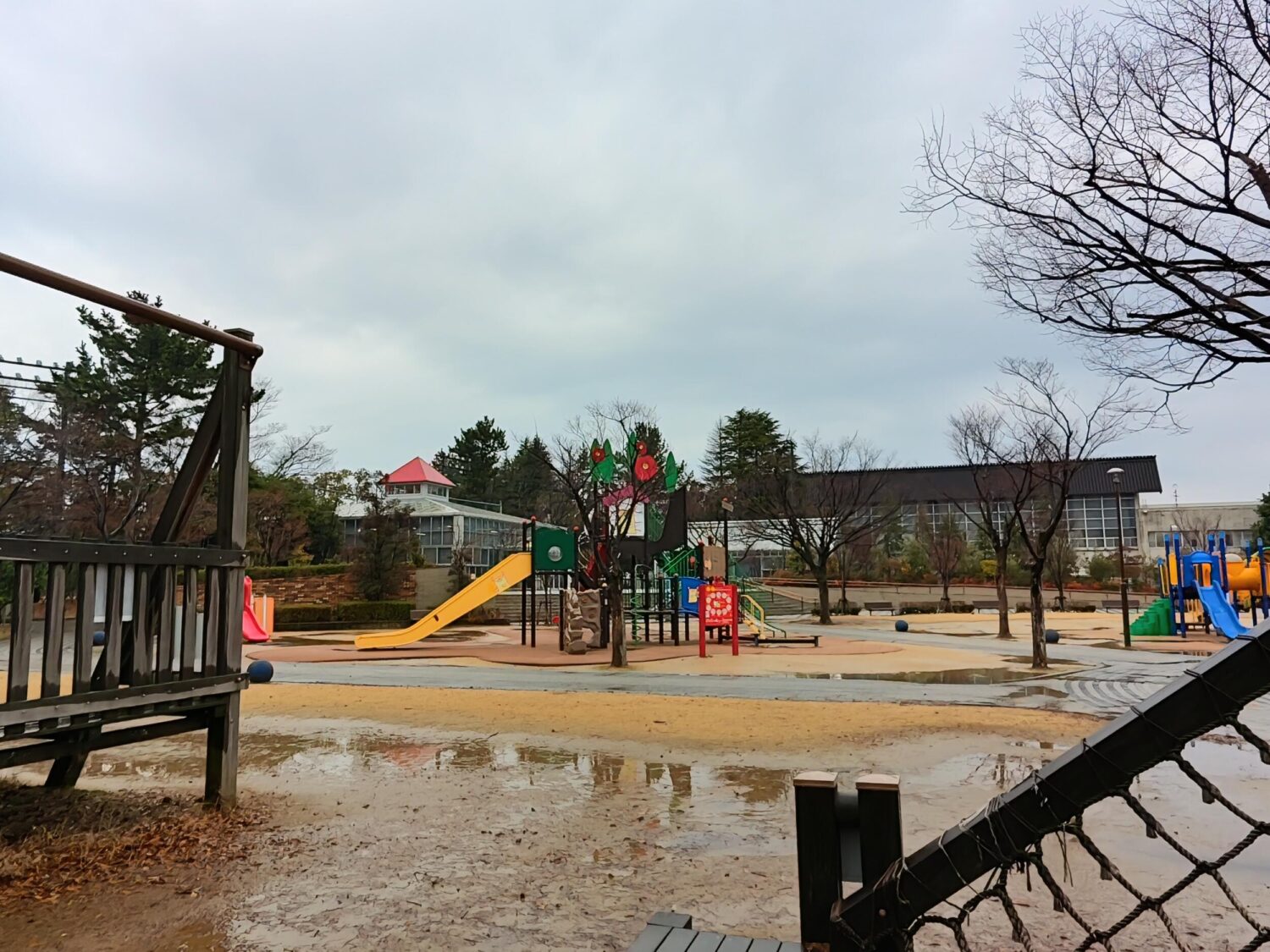 nubia Z70 Ultra(超広角24mm)公園