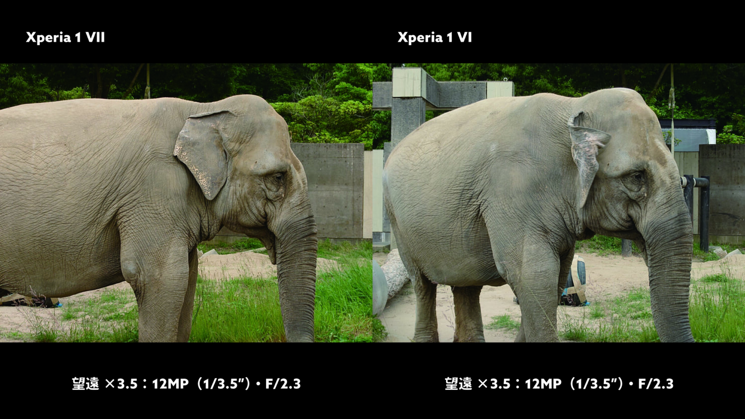 Xperia 1 VII vs 1 VI 望遠カメラ:像
