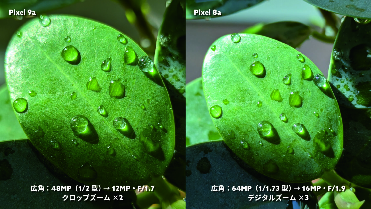 Pixel 9a vs Pixel 8a 2倍ズームと3倍ズーム