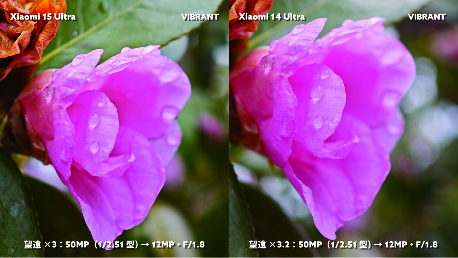 Xiaomi 15 Ultra vs 14 Ultra 光学3倍望遠 テレマクロ 椿の花