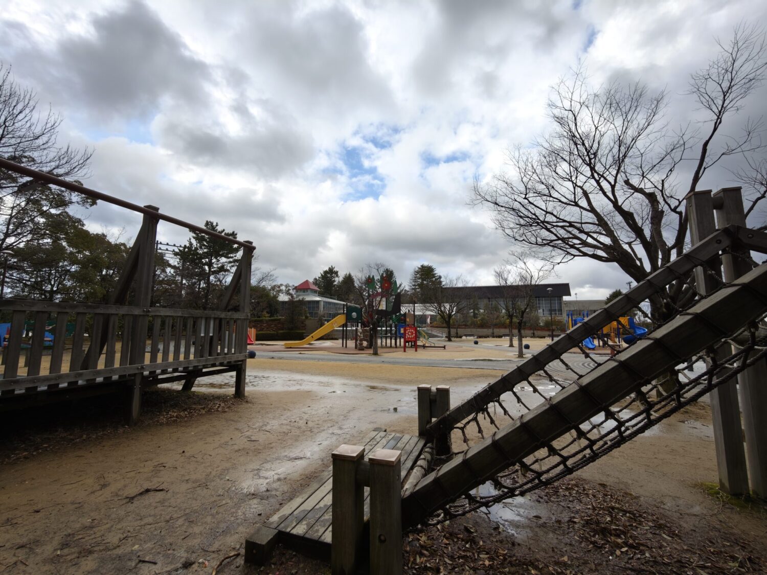 Xiaomi 15 Ultra 超広角カメラ 公園
