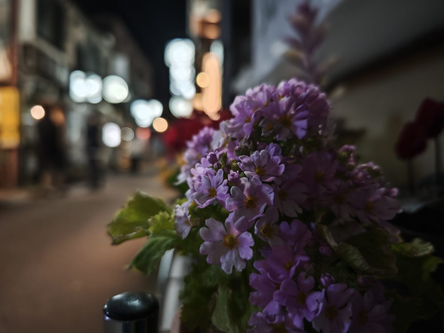 Xiaomi 15 Ultra 広角カメラ 夜の花と光芒