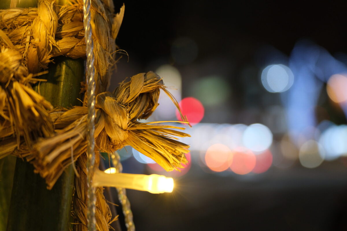 X-T50 + XF16-55mmF2.8 R LM WR II 光玉ボケ