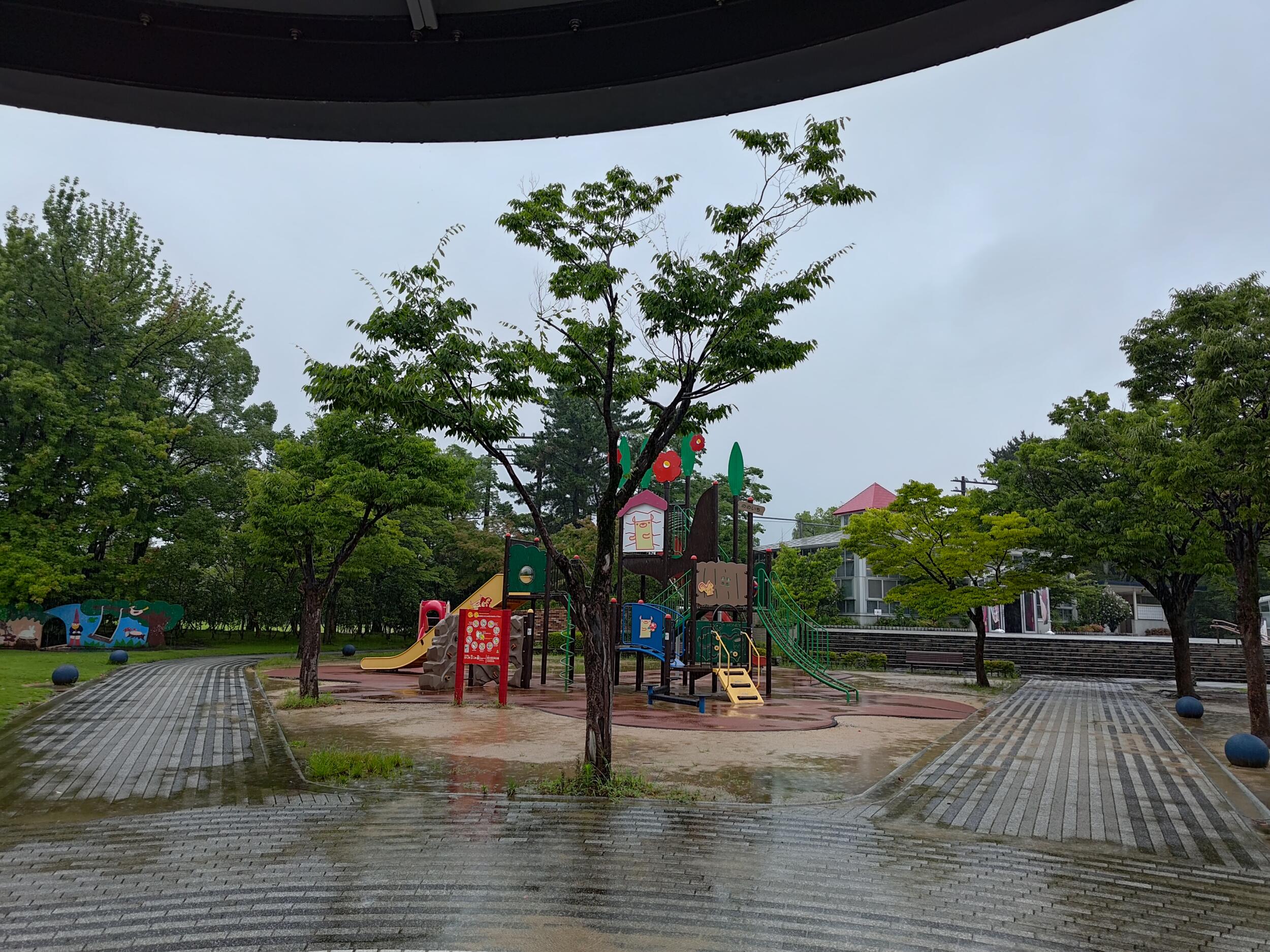 Zenfone 10 広角×1 公園