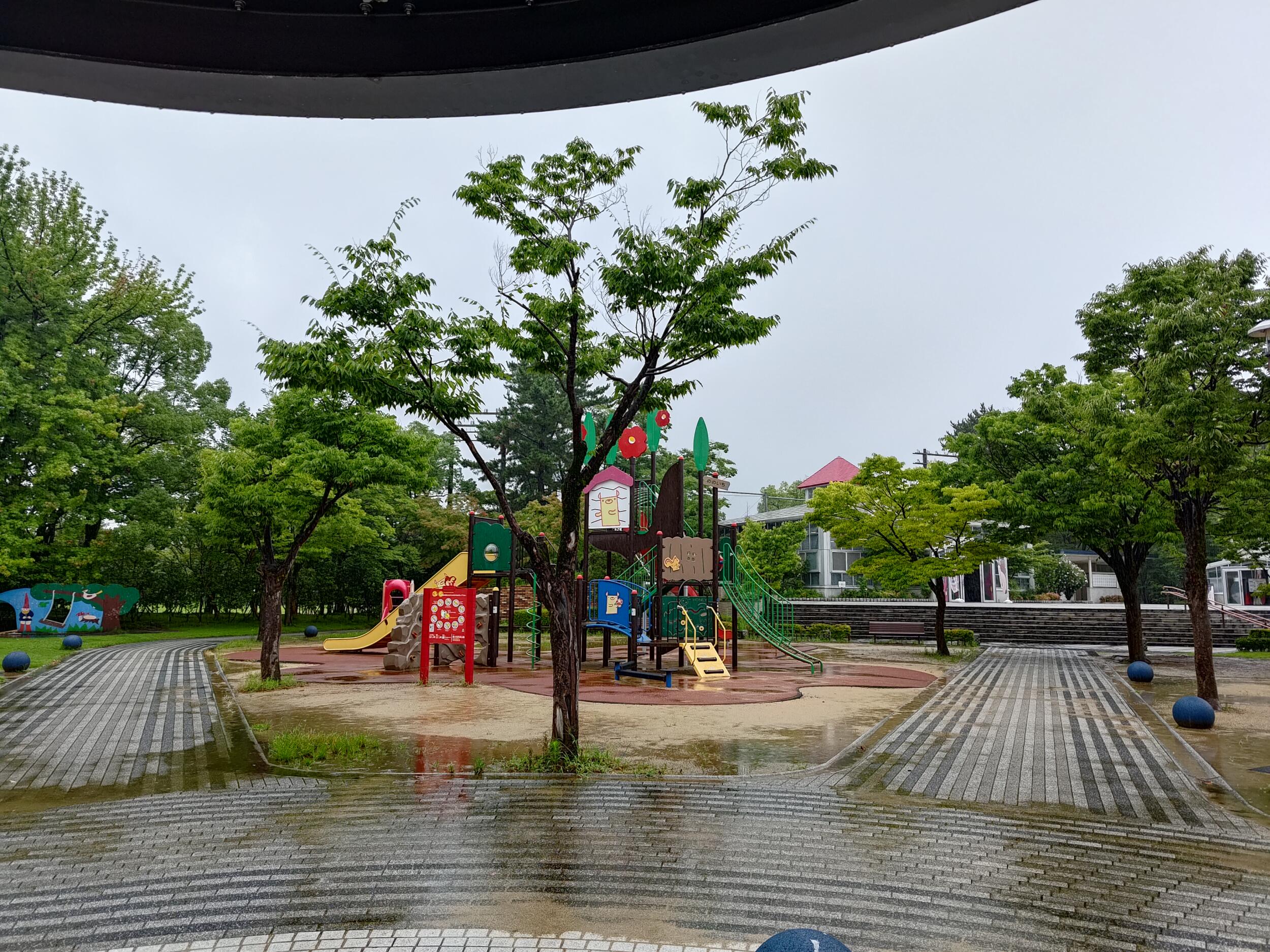 Zenfone 9 広角×1 公園