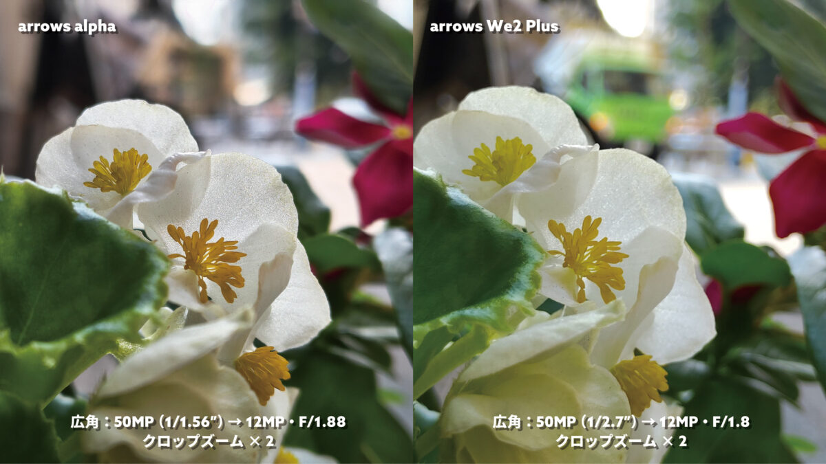 arrows Alpha vs arrows We2 Plus 広角×2 花と背景ボケ感