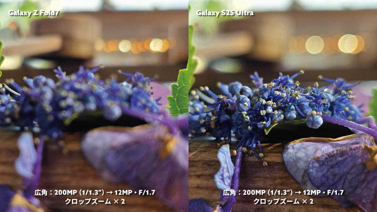 Galaxy Z Fold7 vs S25 Ultra 広角×2 光の玉ボケ