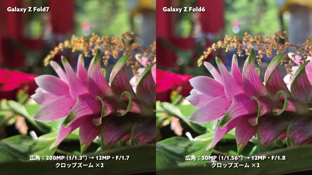 Galaxy Z Fold7 vs Fold6 広角×2 背景ボケ感