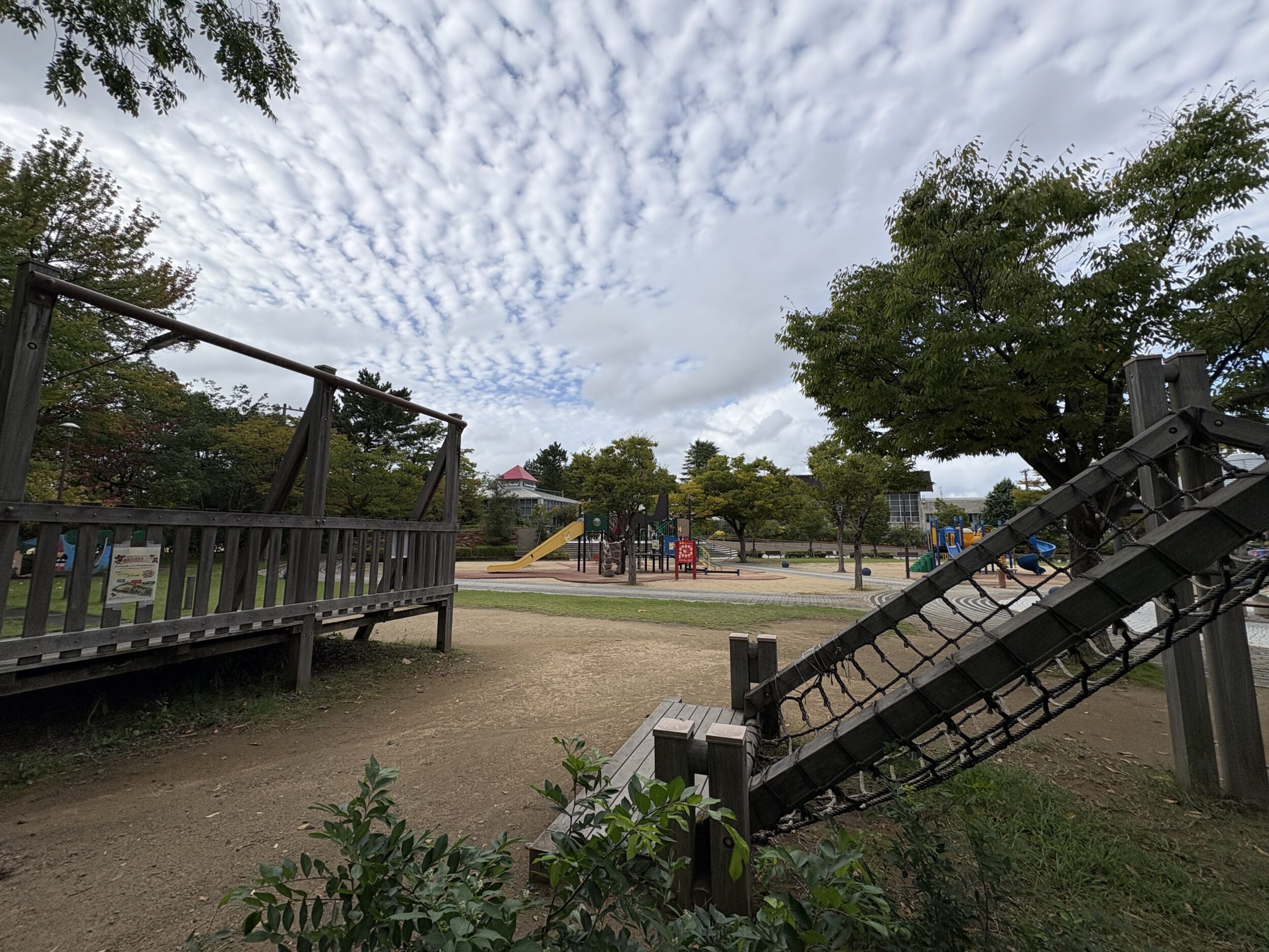 iPhone 16 超広角カメラ 公園を撮影