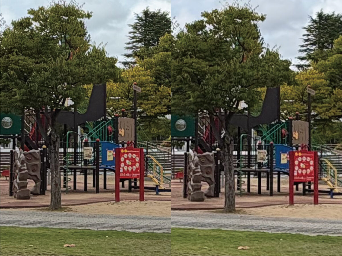 iPhone 17 vs 16 超広角カメラ 公園を撮影 部分拡大
