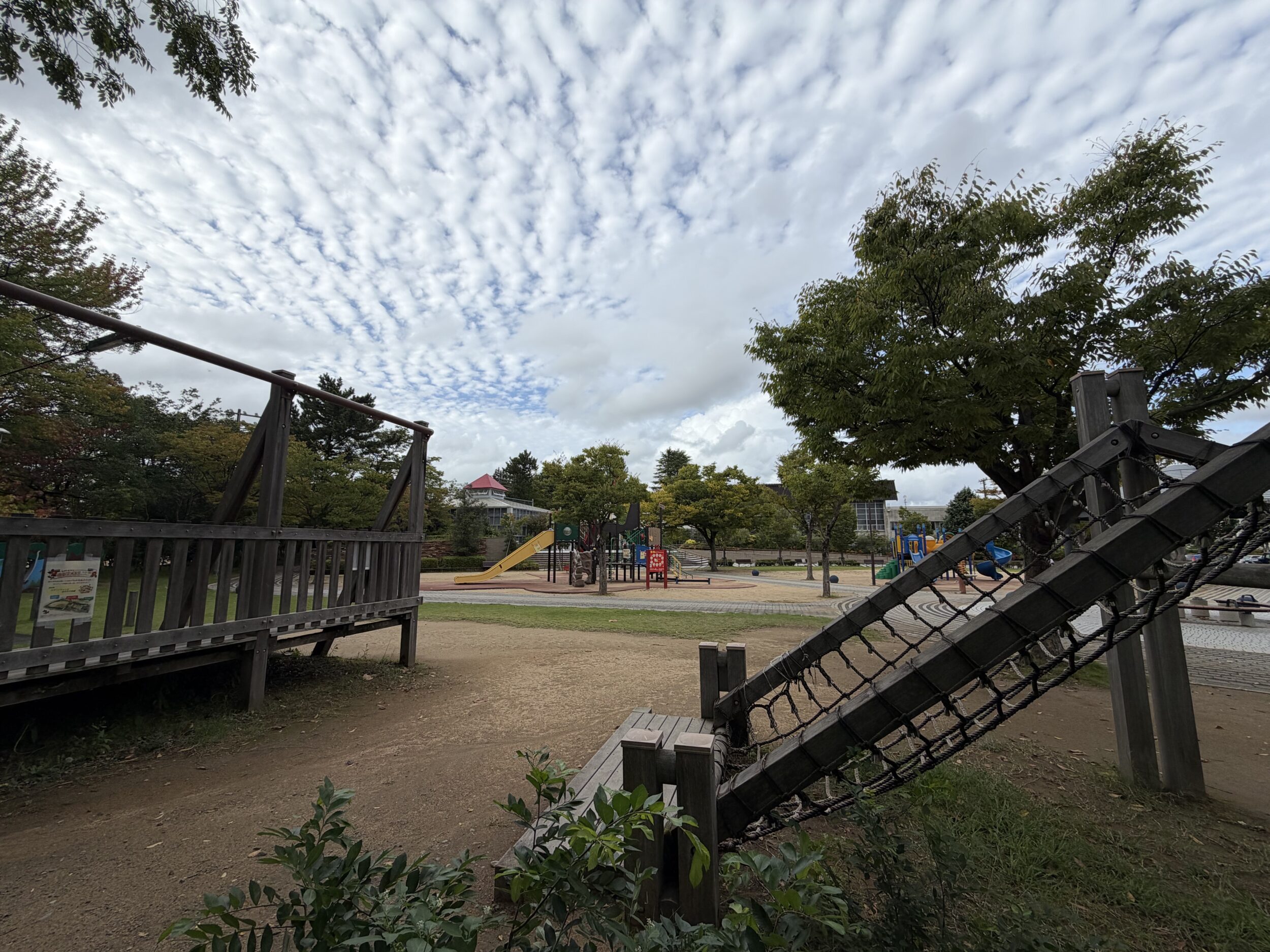 iPhone 17 超広角カメラ 公園を撮影