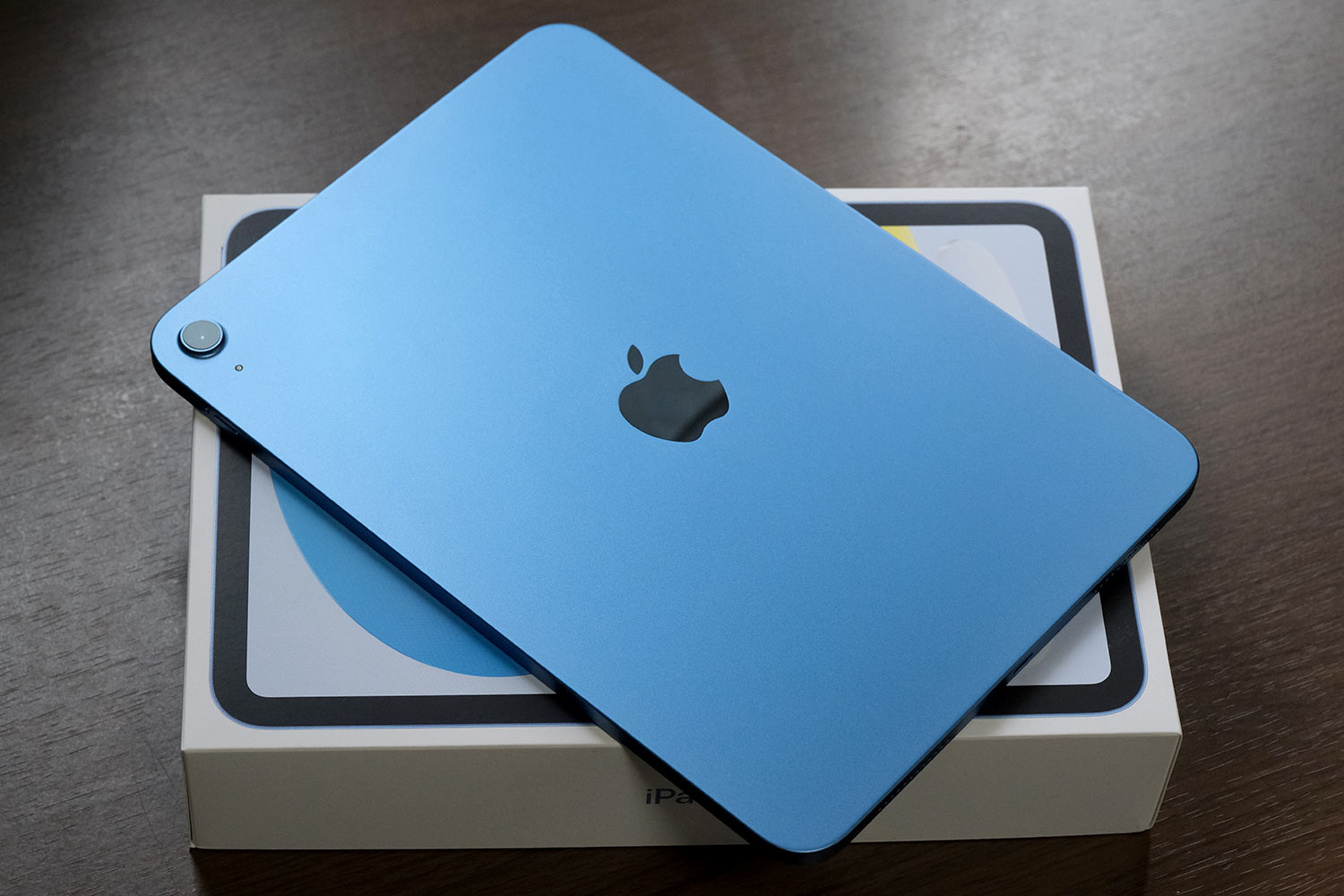 iPad（A16）背面パネル