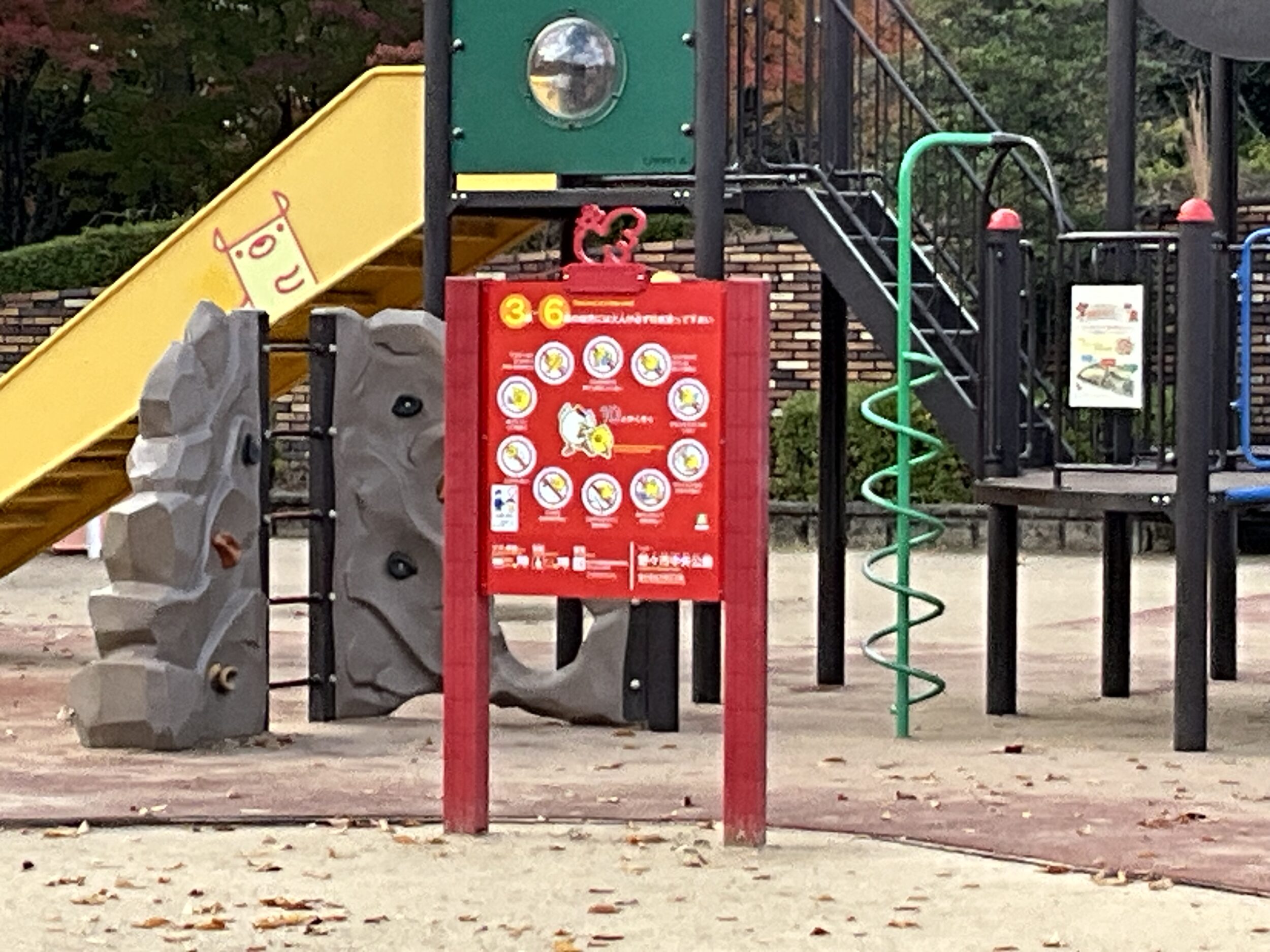 iPad Pro 11インチ（M2）広角カメラ × 5