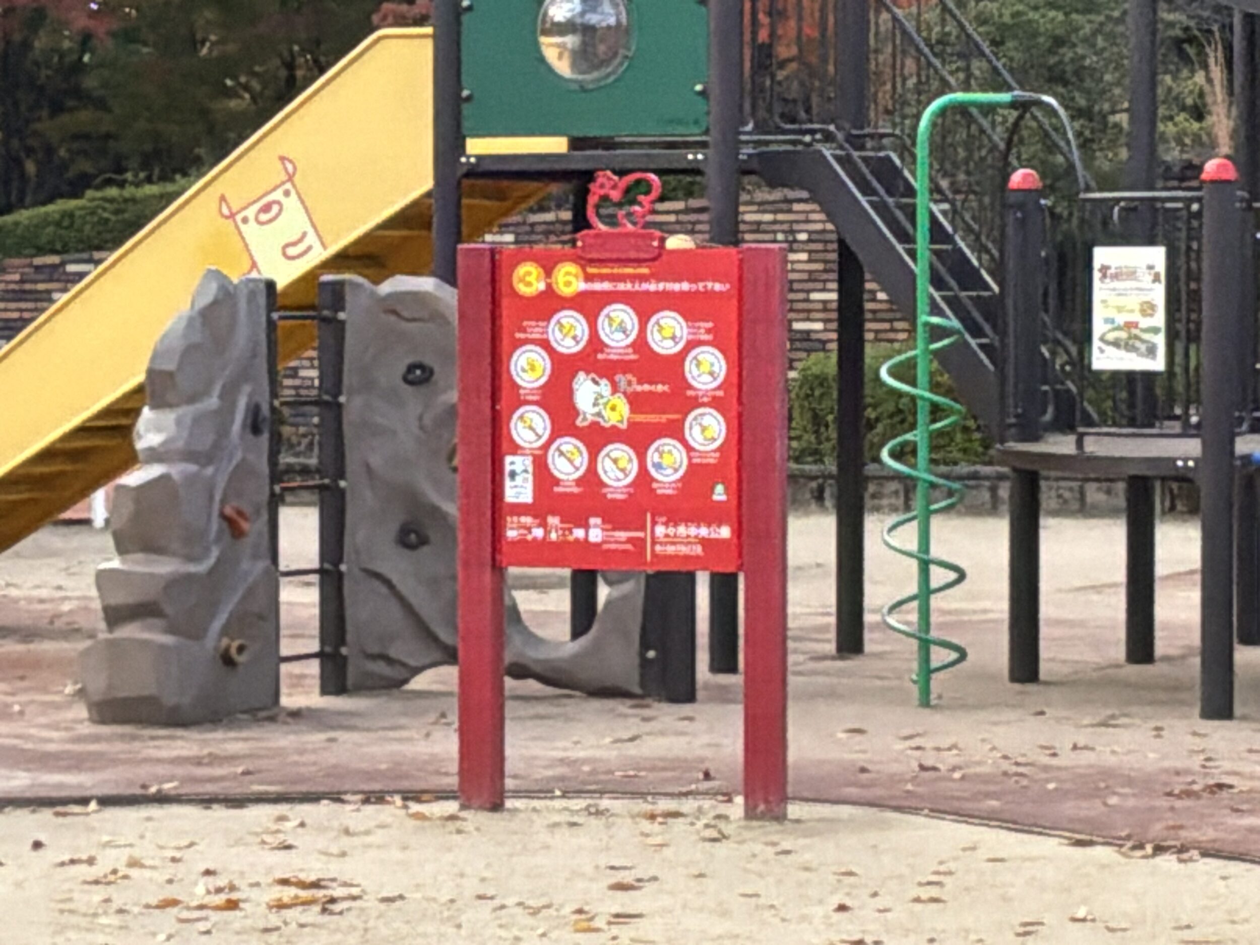 iPad Pro 11インチ（M5）広角カメラ × 5