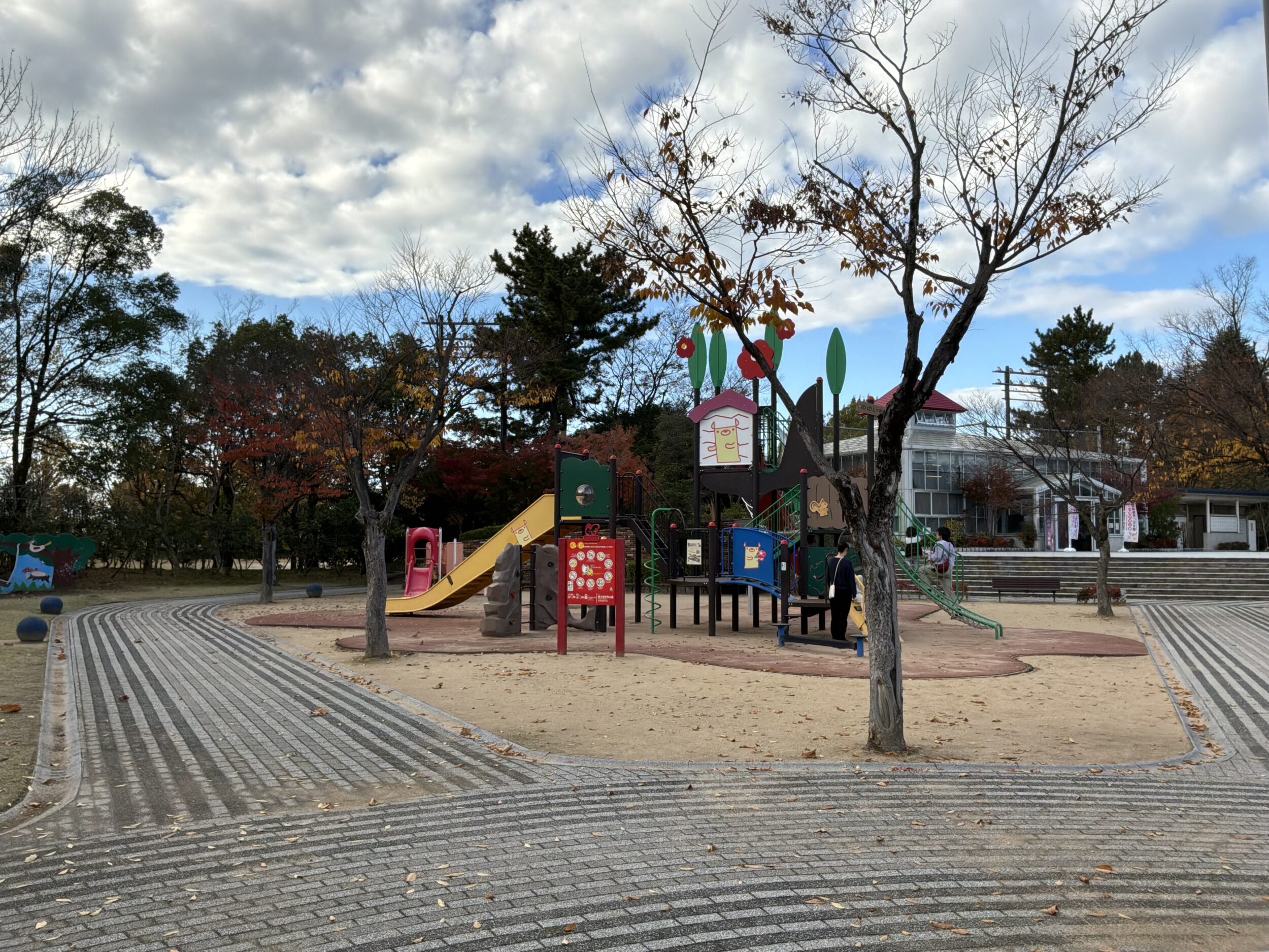 iPad Pro 11インチ（M5）広角カメラ