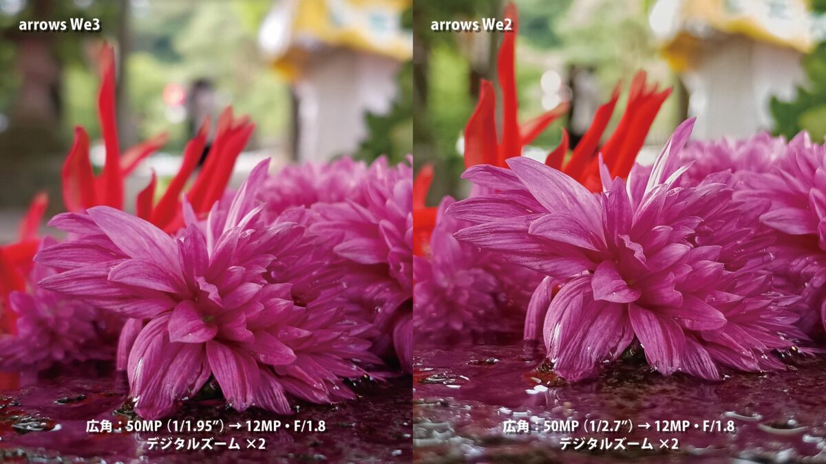 arrows We3で撮影した自然な色味の写真