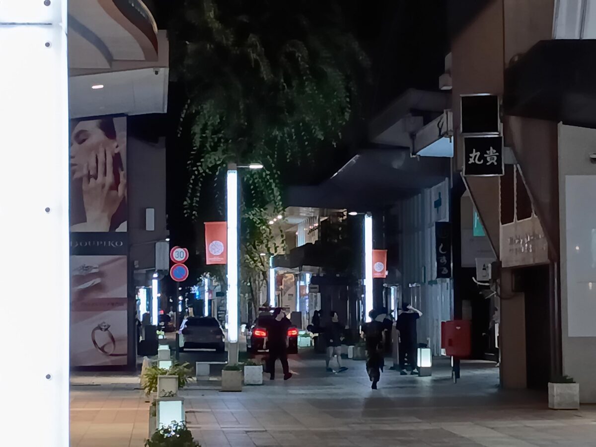 arrows We3で撮影した夜の作例写真