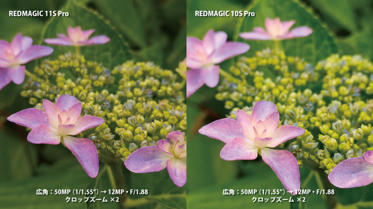 REDMAGIC 11S Pro カメラ作例