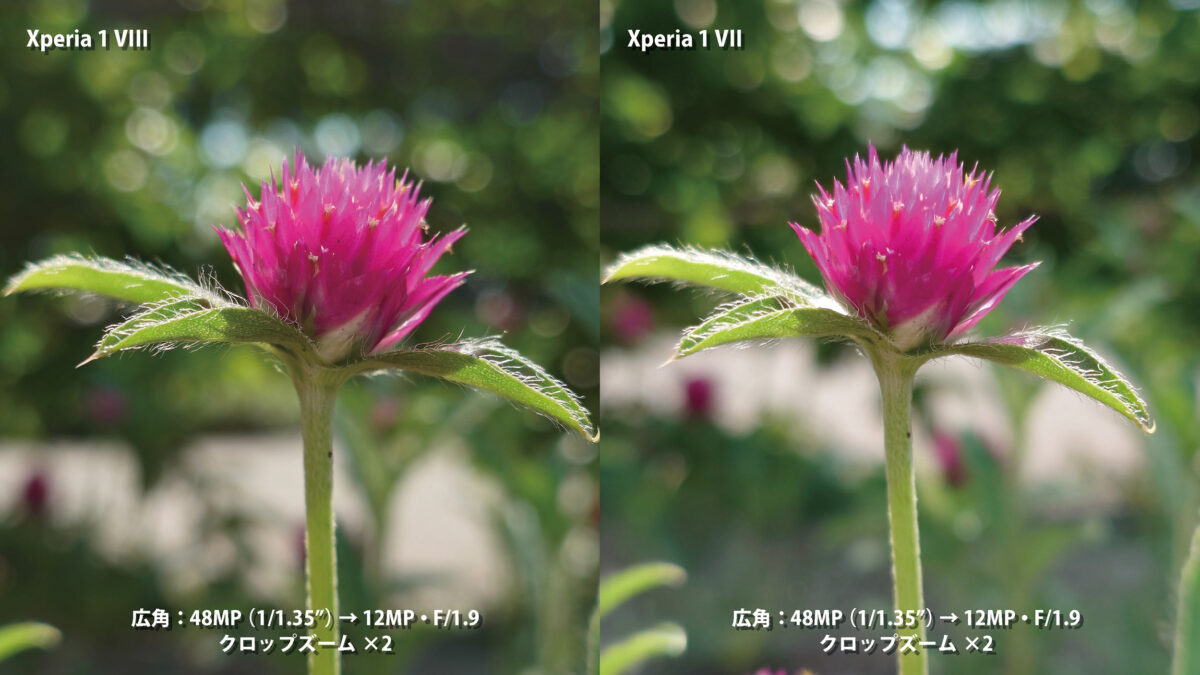 Xperia 1 VIII vs 1 VII クロップズーム2倍