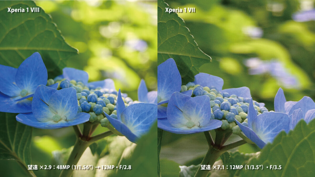 Xperia 1 VIII vs 1 VII 望遠カメラ