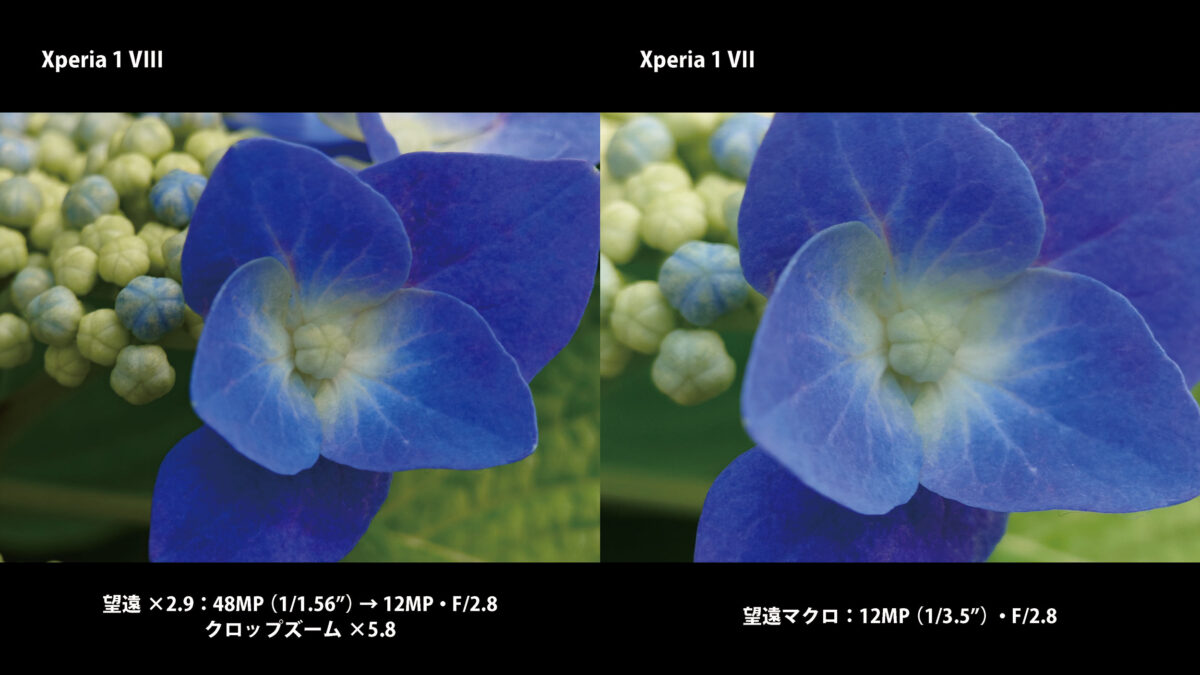 Xperia 1 VIII 望遠カメラで寄った作例