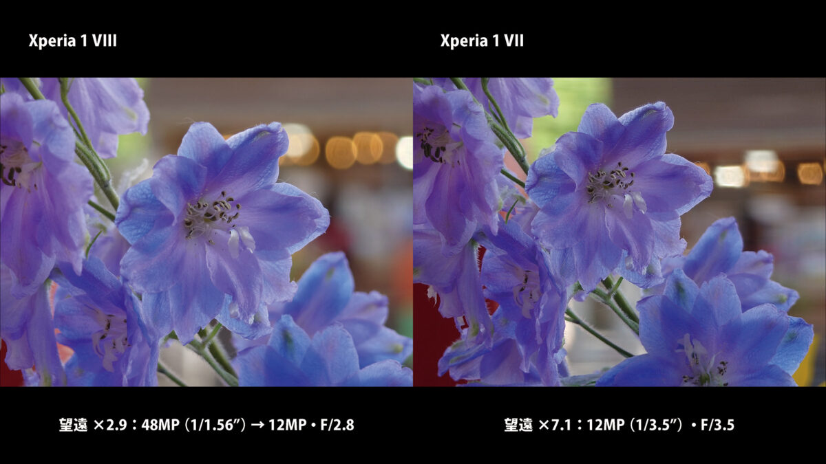 Xperia 1 VIII 望遠カメラの作例
