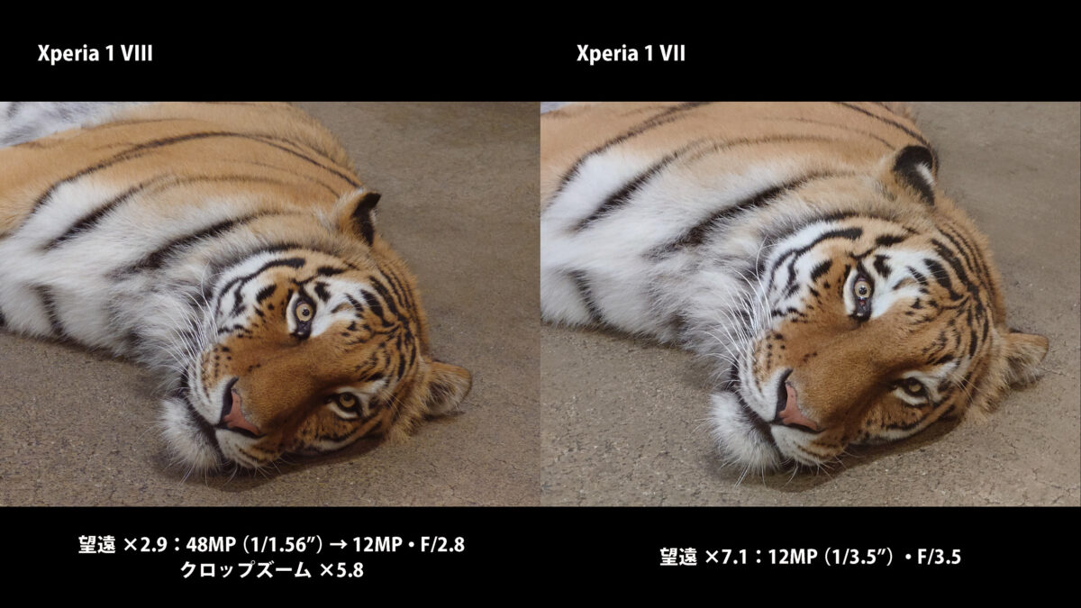Xperia 1 VIII vs 1 VII 望遠カメラの解像感