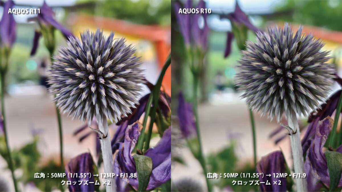 AQUOS R11 AQUOS R10 作例 暗所 比較