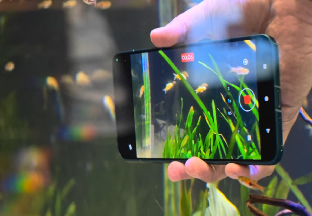 arrows Alpha2 水中撮影 防水