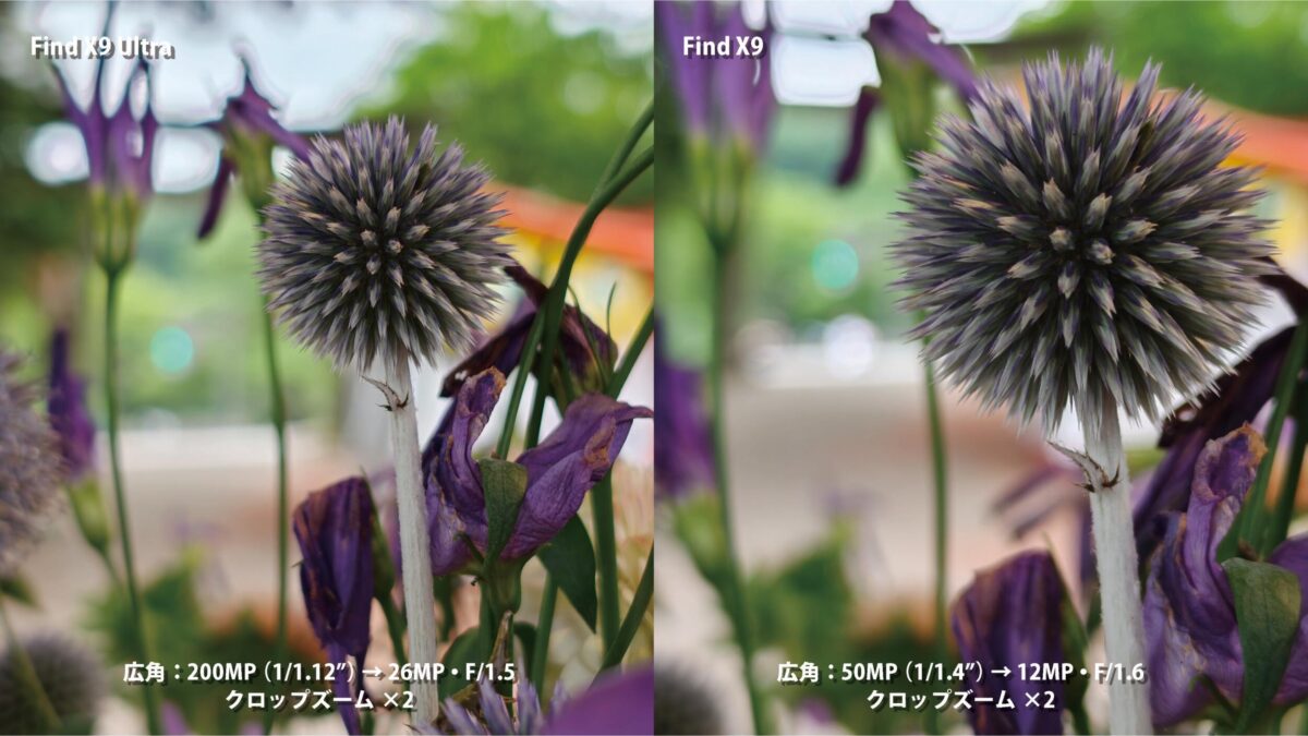 OPPO Find X9 Ultra 作例 ボケ 花