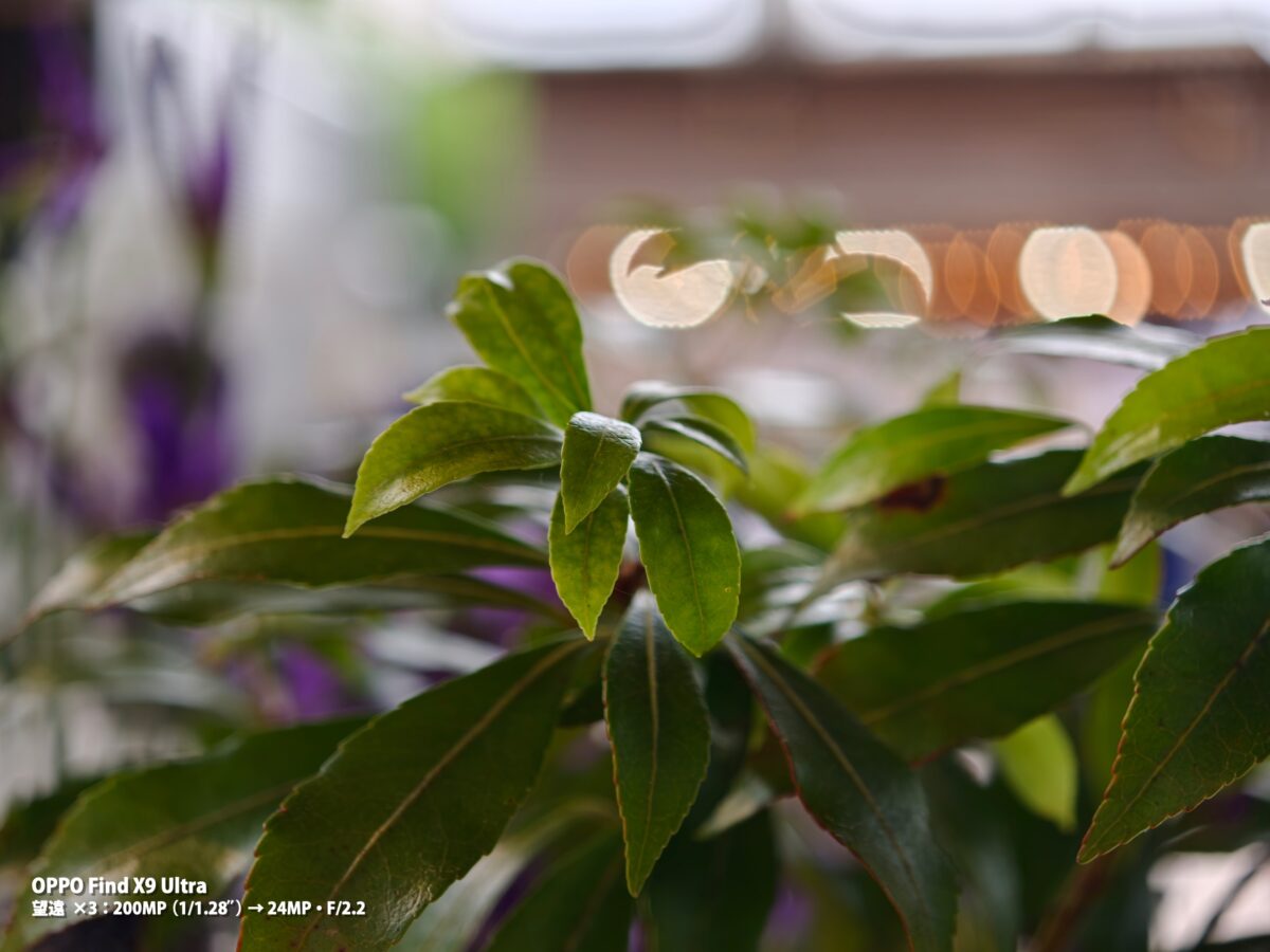 OPPO Find X9 Ultra 作例 花 緑